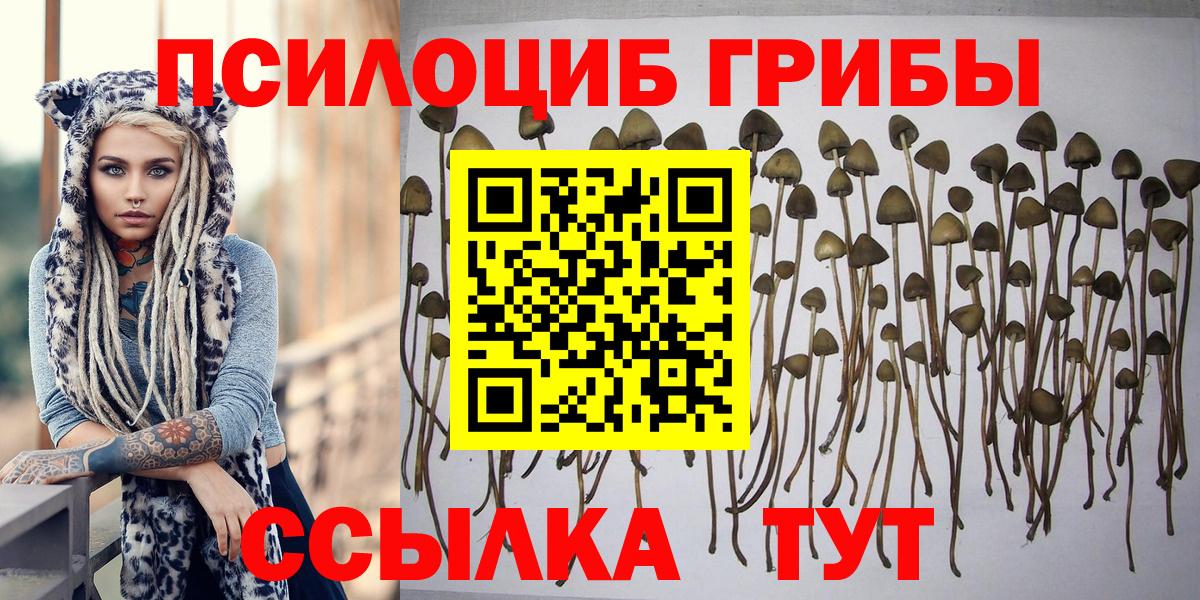 Бийск  Галлюциногенные грибы MAGIC MUSHROOMS  Вход с VPN  Псилоцибиновые грибы мицелий 